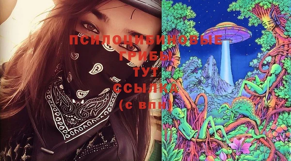 винт Алексин