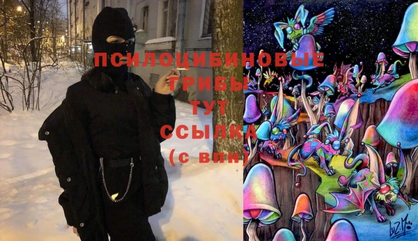 винт Алексин